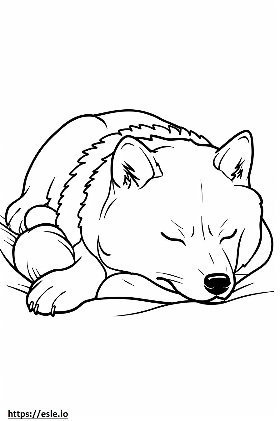 Ainu alszik szinező