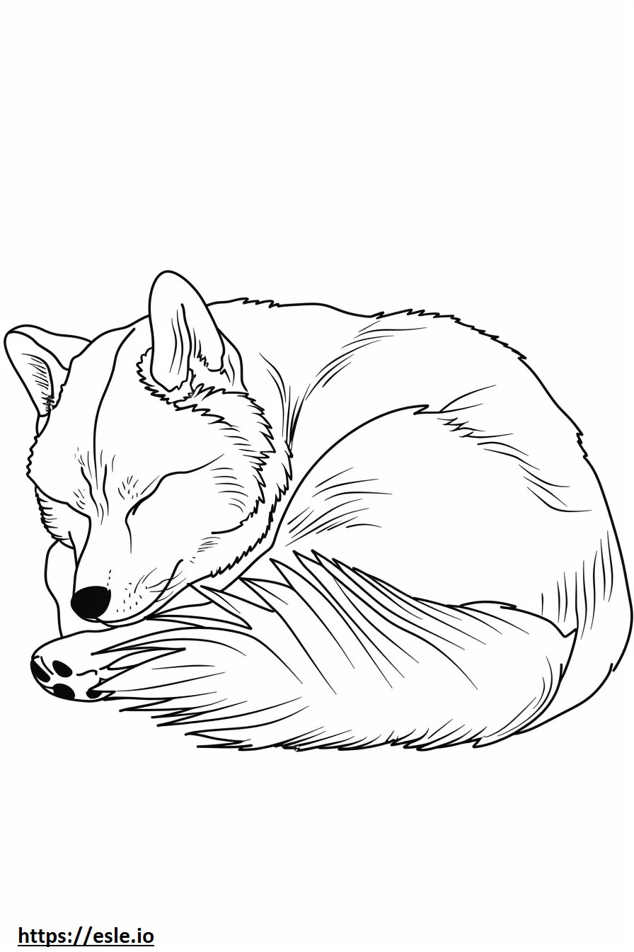 眠るアイヌ ぬりえ - 塗り絵