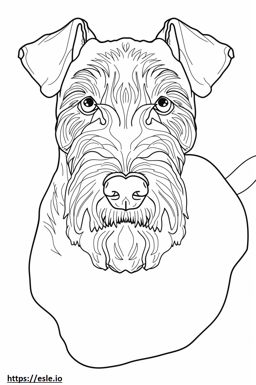 Fața de Airedale Terrier de colorat