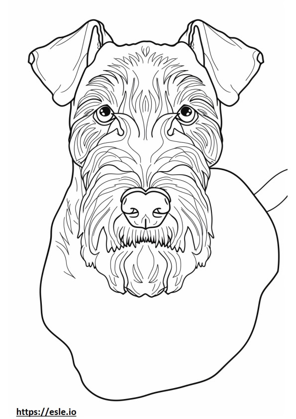 Cara de Airedale Terrier para colorear e imprimir