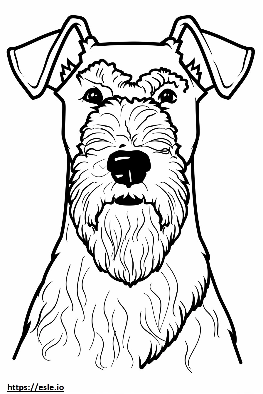 Airedale Terrier kasvot värityskuva