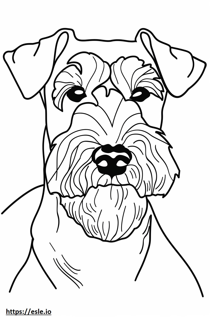 Airedale Terrier kasvot värityskuva