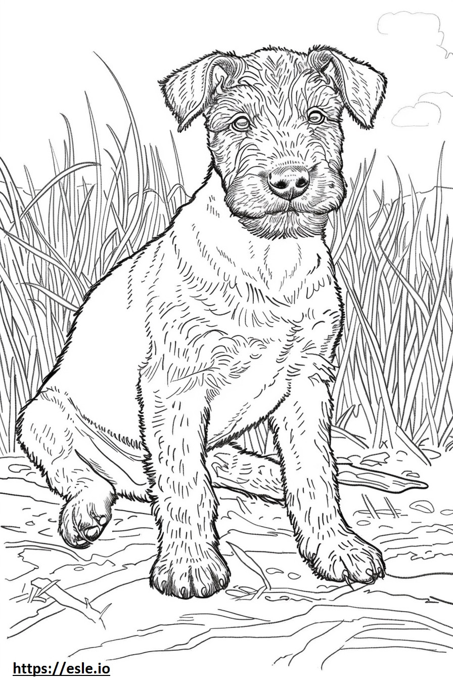 Airedale Terrier vauva värityskuva