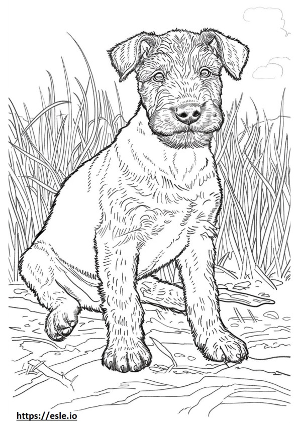 Copilul Airedale Terrier de colorat