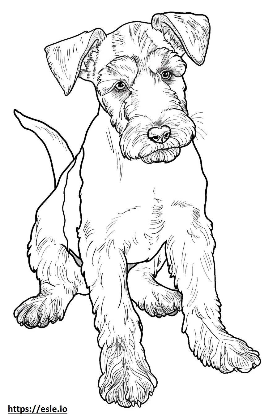 Airedale Terrier baby coloring page