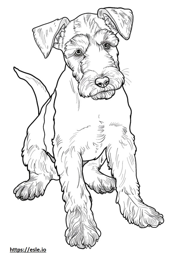 Bebê Airedale Terrier para colorir