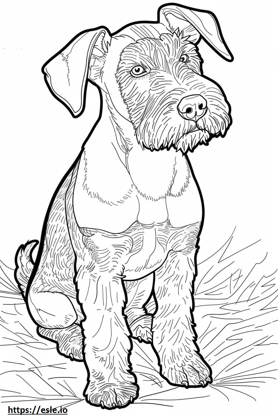 Cucciolo di Airedale Terrier da colorare