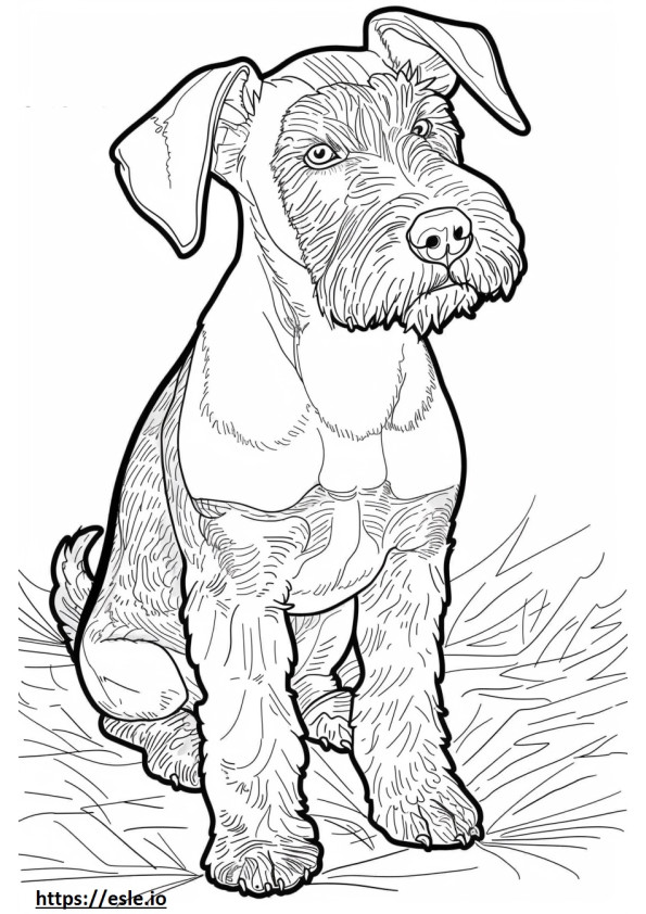 Cucciolo di Airedale Terrier da colorare