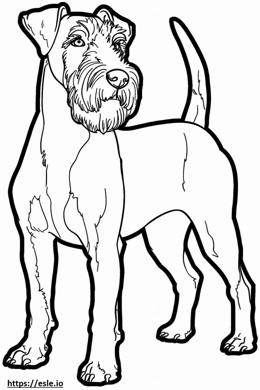 Airedale Terrier cartoon coloring page