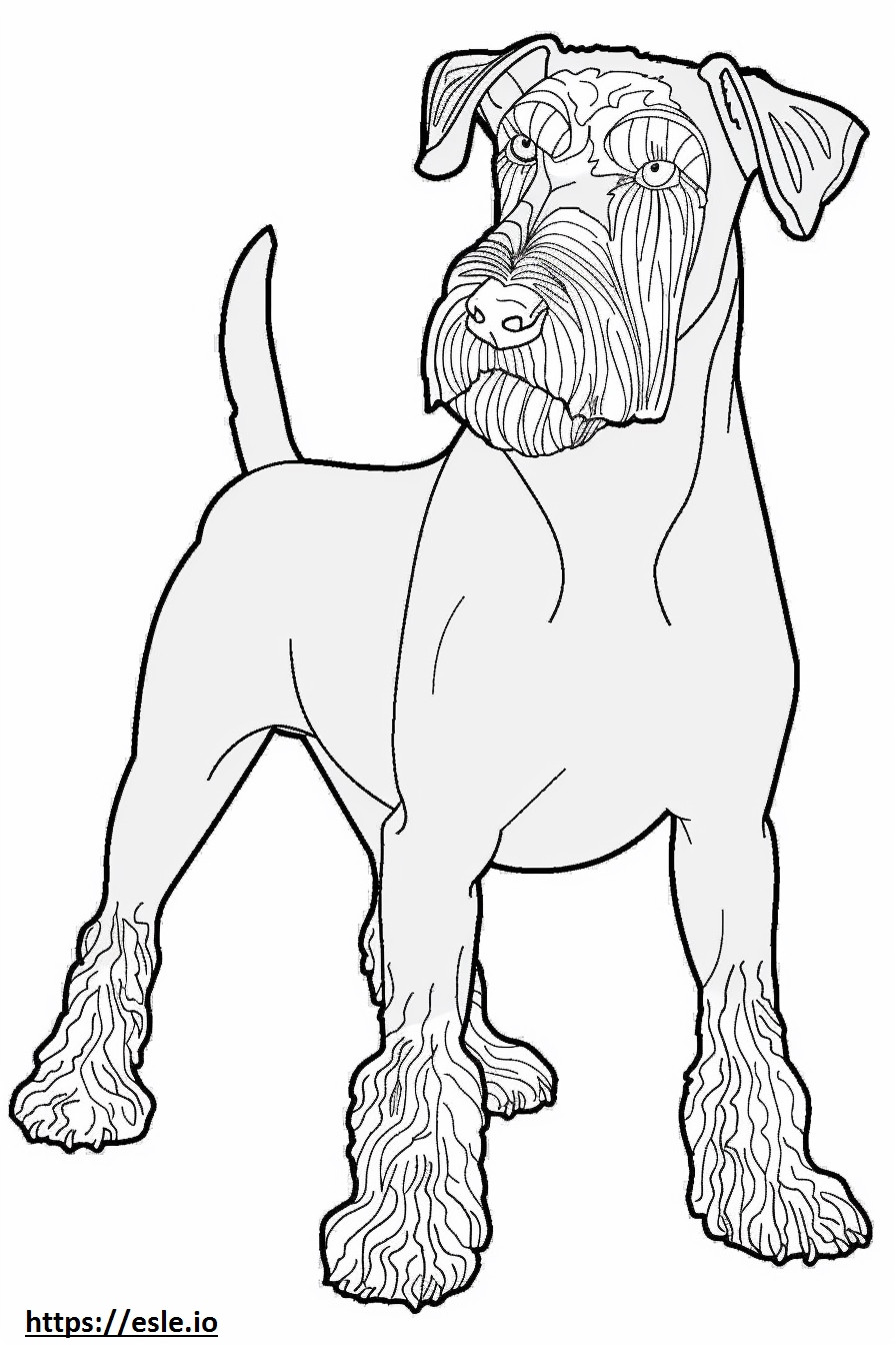 Airedale-Terrier-Cartoon ausmalbild