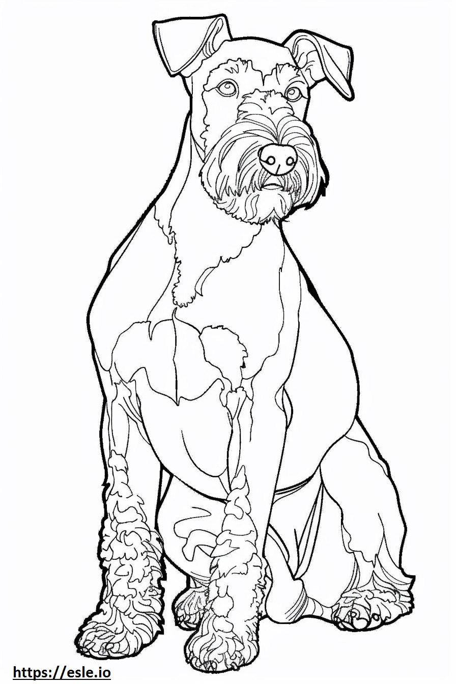 Airedale Terrier sarjakuva värityskuva