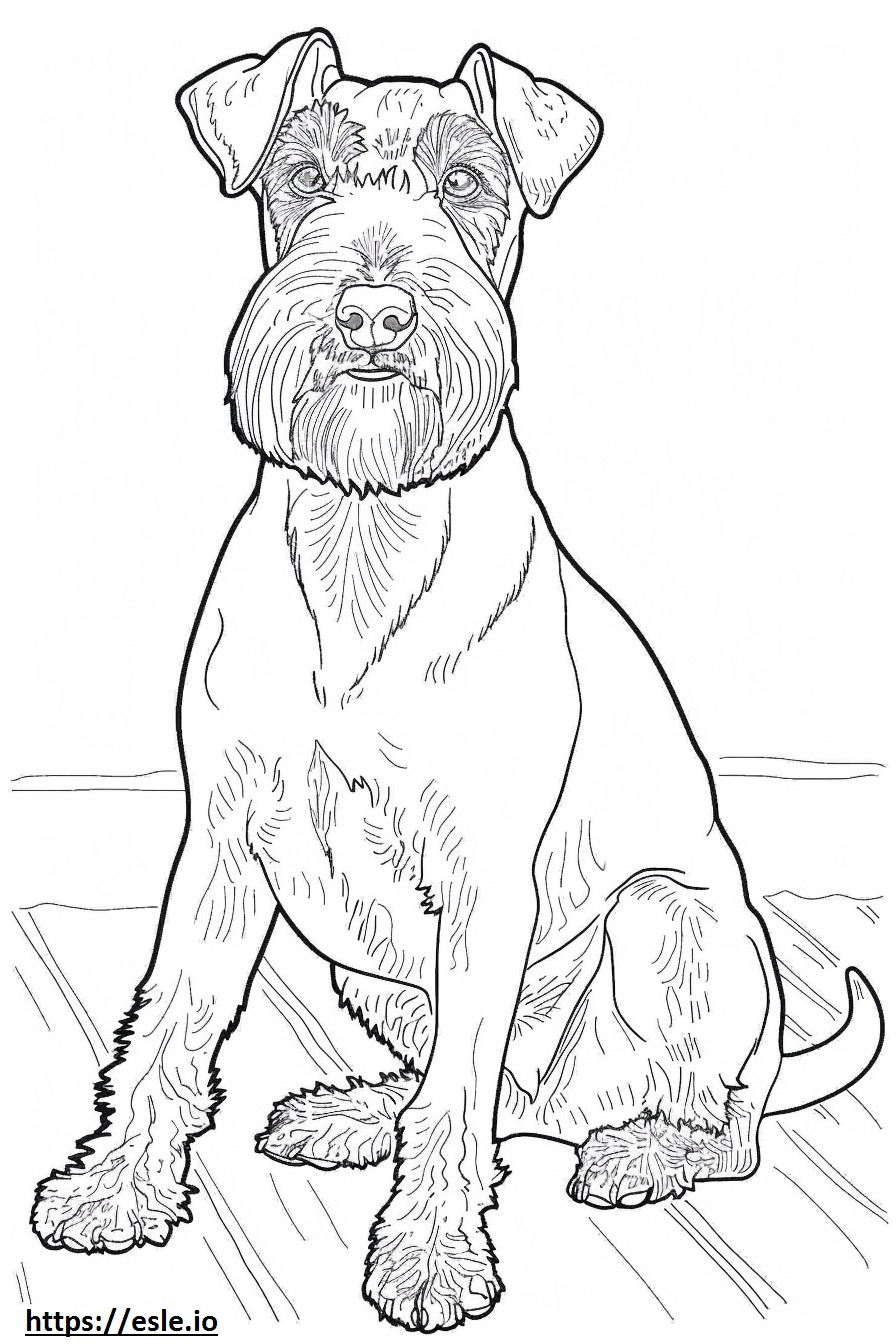Airedale Terrier cute coloring page