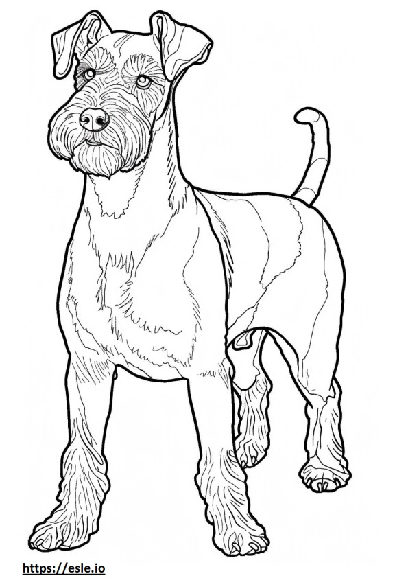 Airedale Terrier feliz para colorear e imprimir