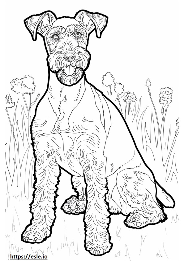 Coloriage Airedale Terrier heureux à imprimer