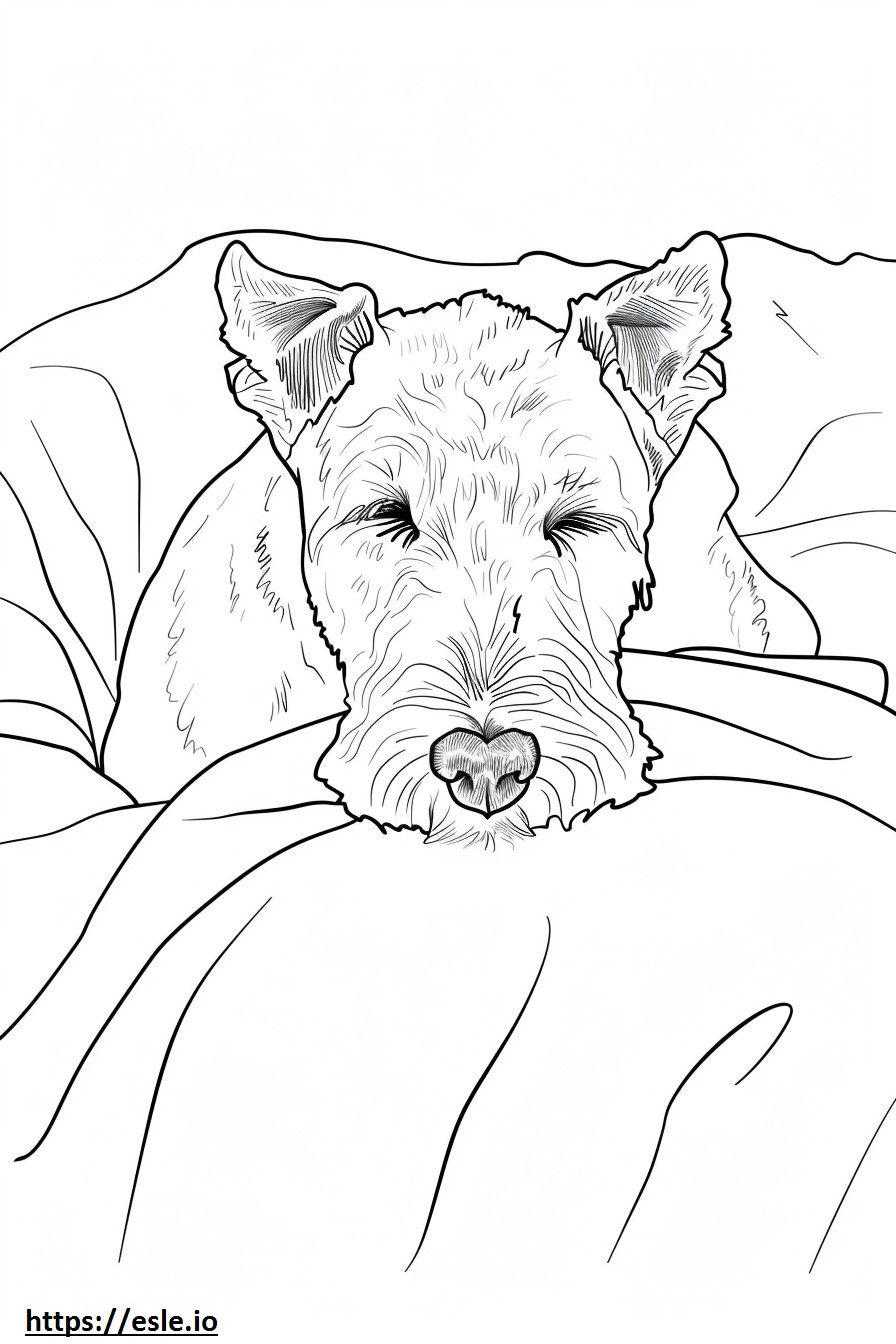 Coloriage Airedale Terrier dormant à imprimer
