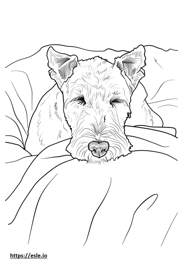 Airedale Terrier Sleeping coloring page