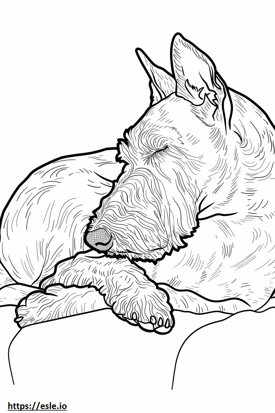 Airedale Terrier Dormit de colorat
