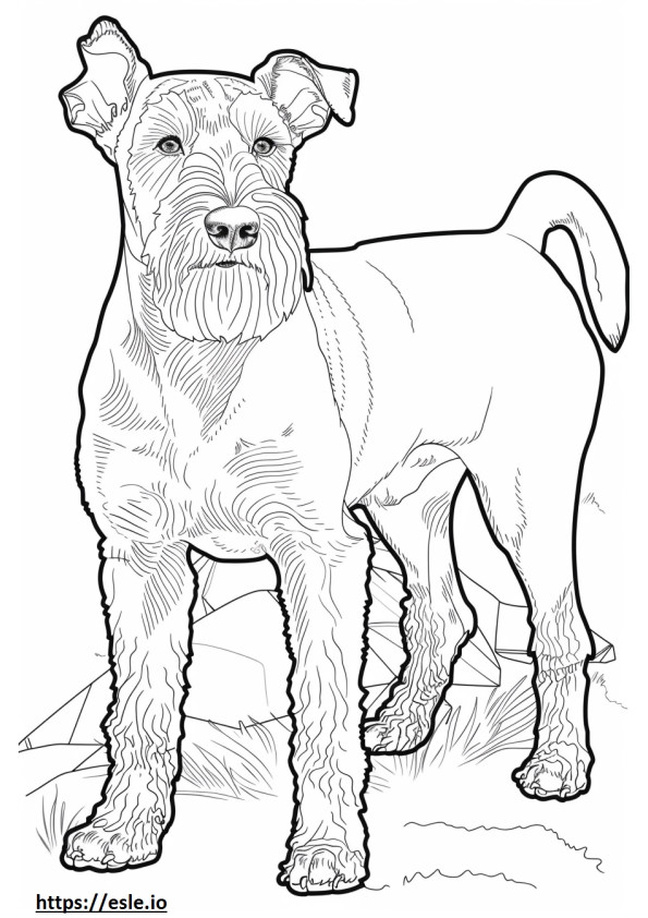 Airedale Terrier che gioca da colorare