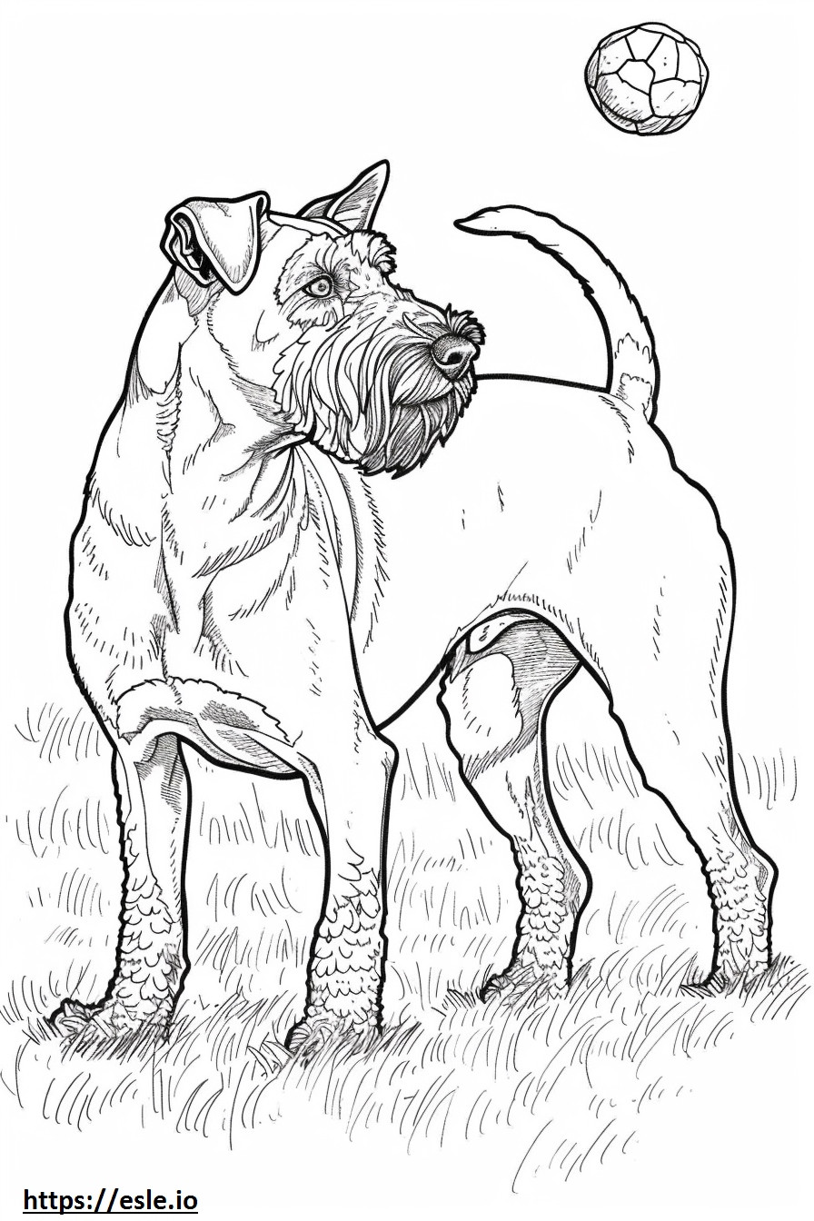 Airedale Terrier Playing coloring page