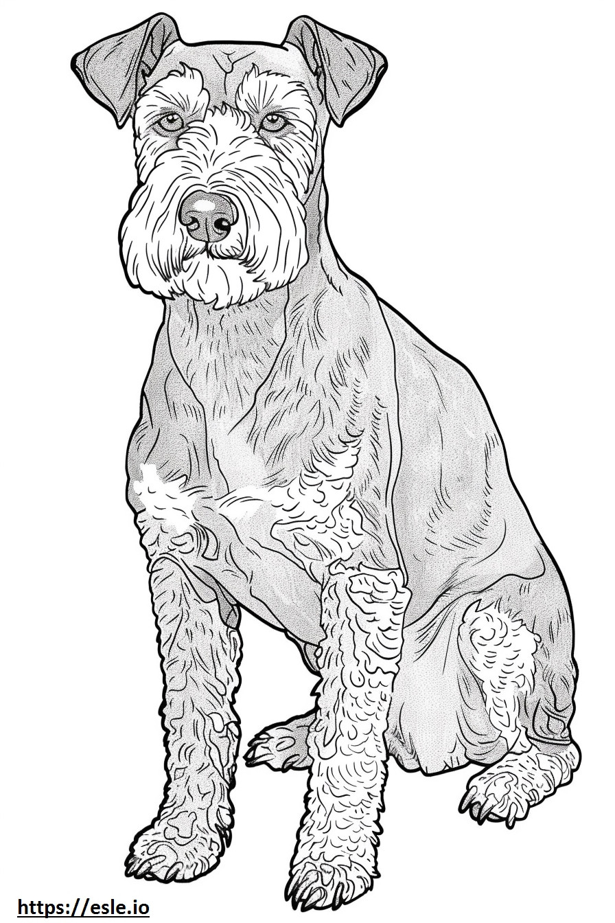 Airedale Terrier jugando para colorear e imprimir