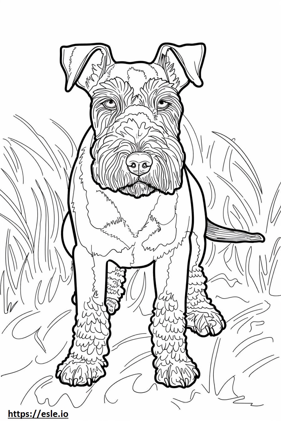 Airedale Terrier Kawaii coloring page