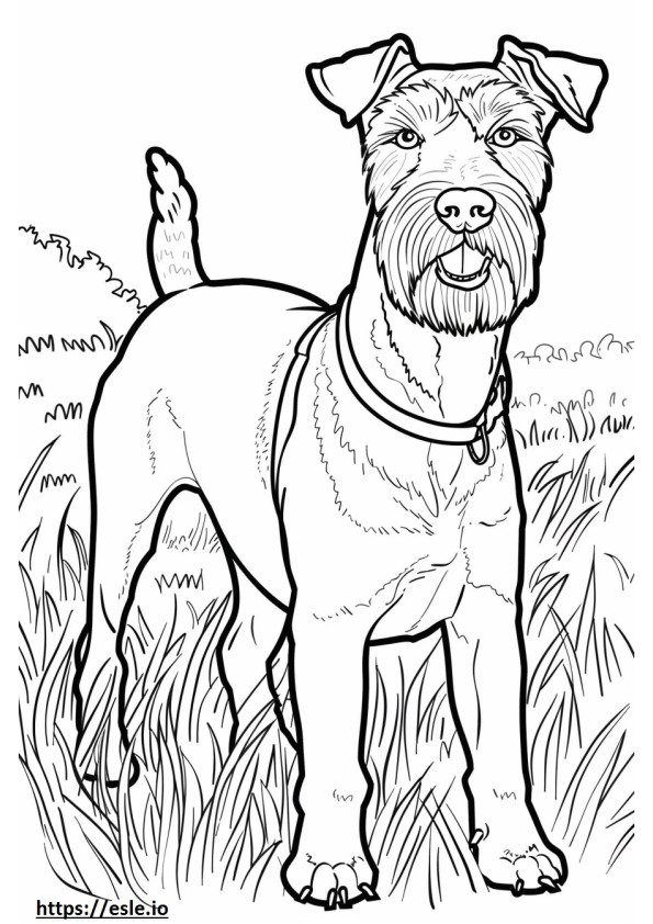 Airedale Terrier Amigável para colorir