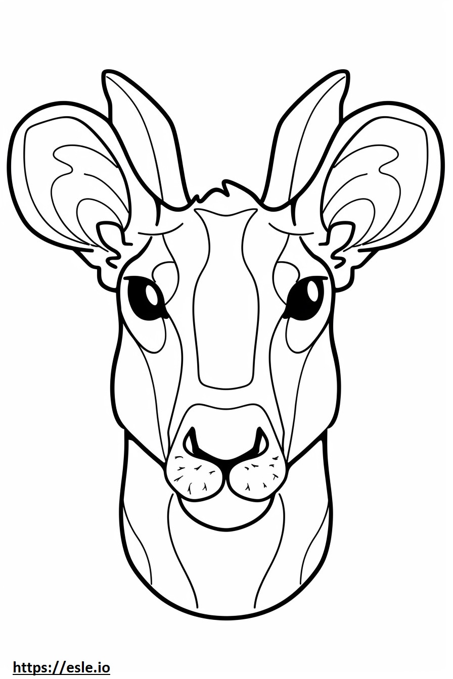 Airedoodle face coloring page
