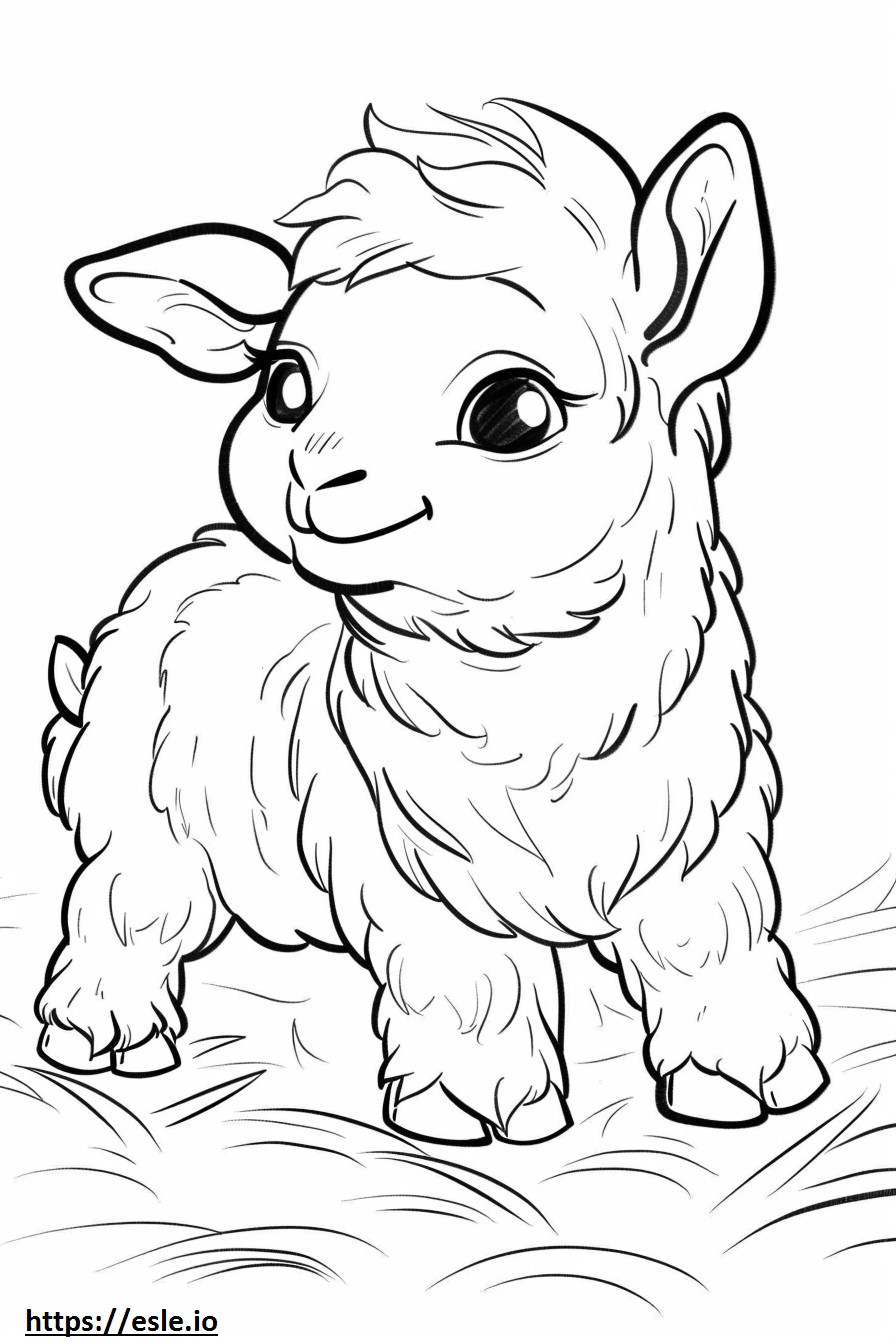 Airedoodle baby coloring page