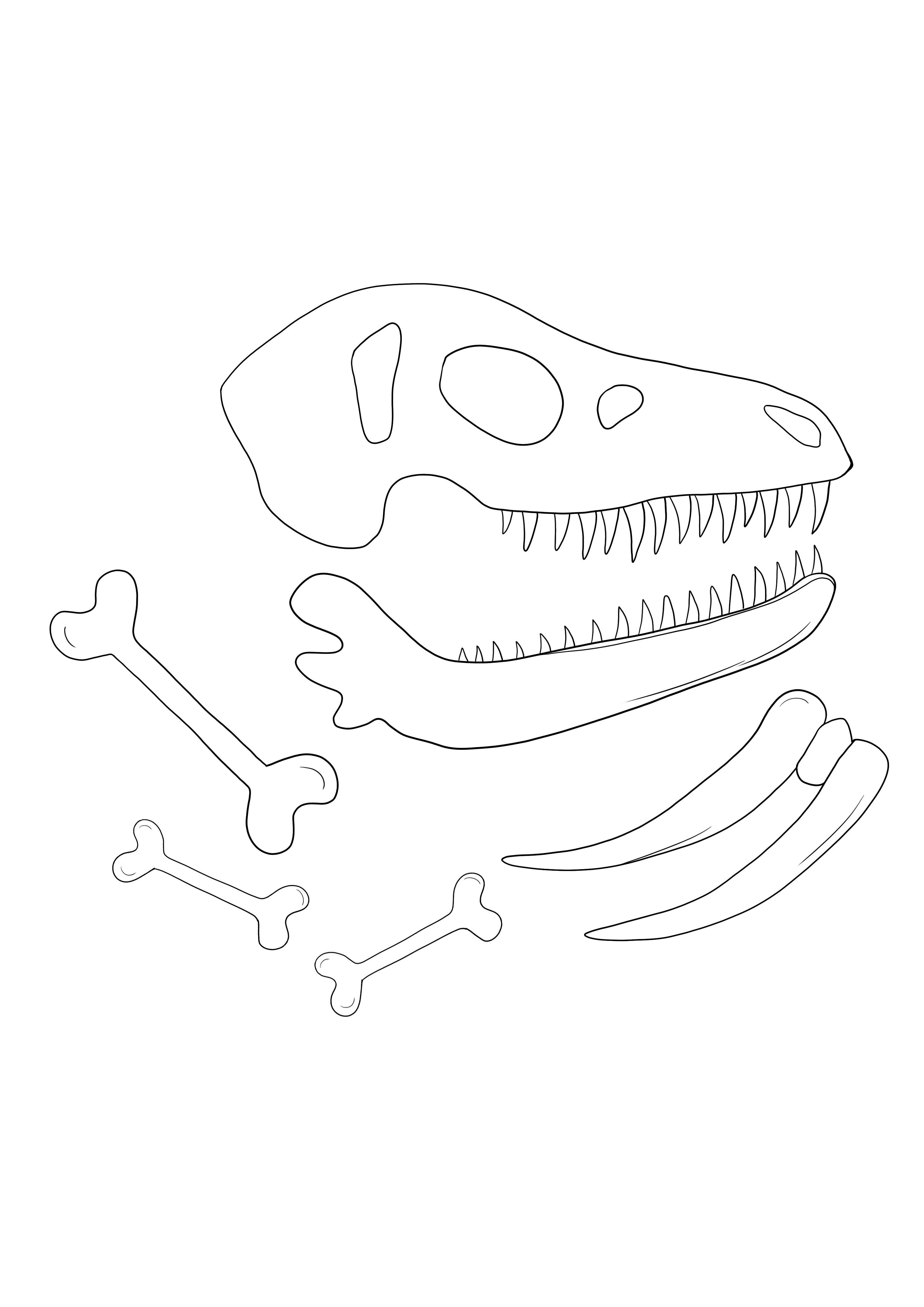 Dinosaur fossils for free download and color sheet