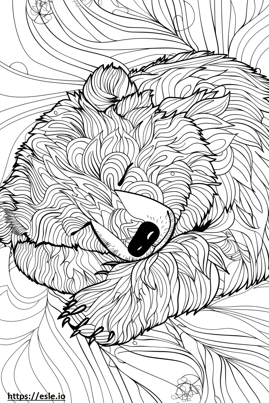 Airedoodle Sleeping coloring page