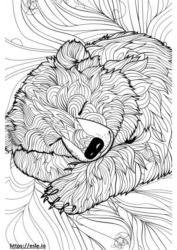 Airedoodle Sleeping coloring page