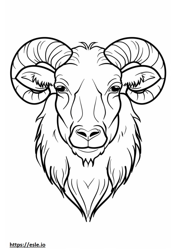 Akbash face coloring page