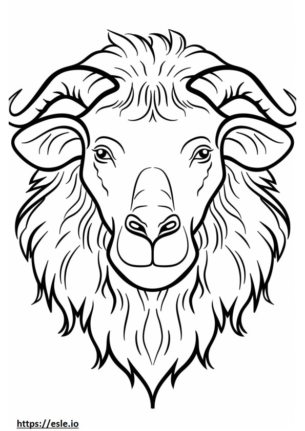 Akbash face coloring page