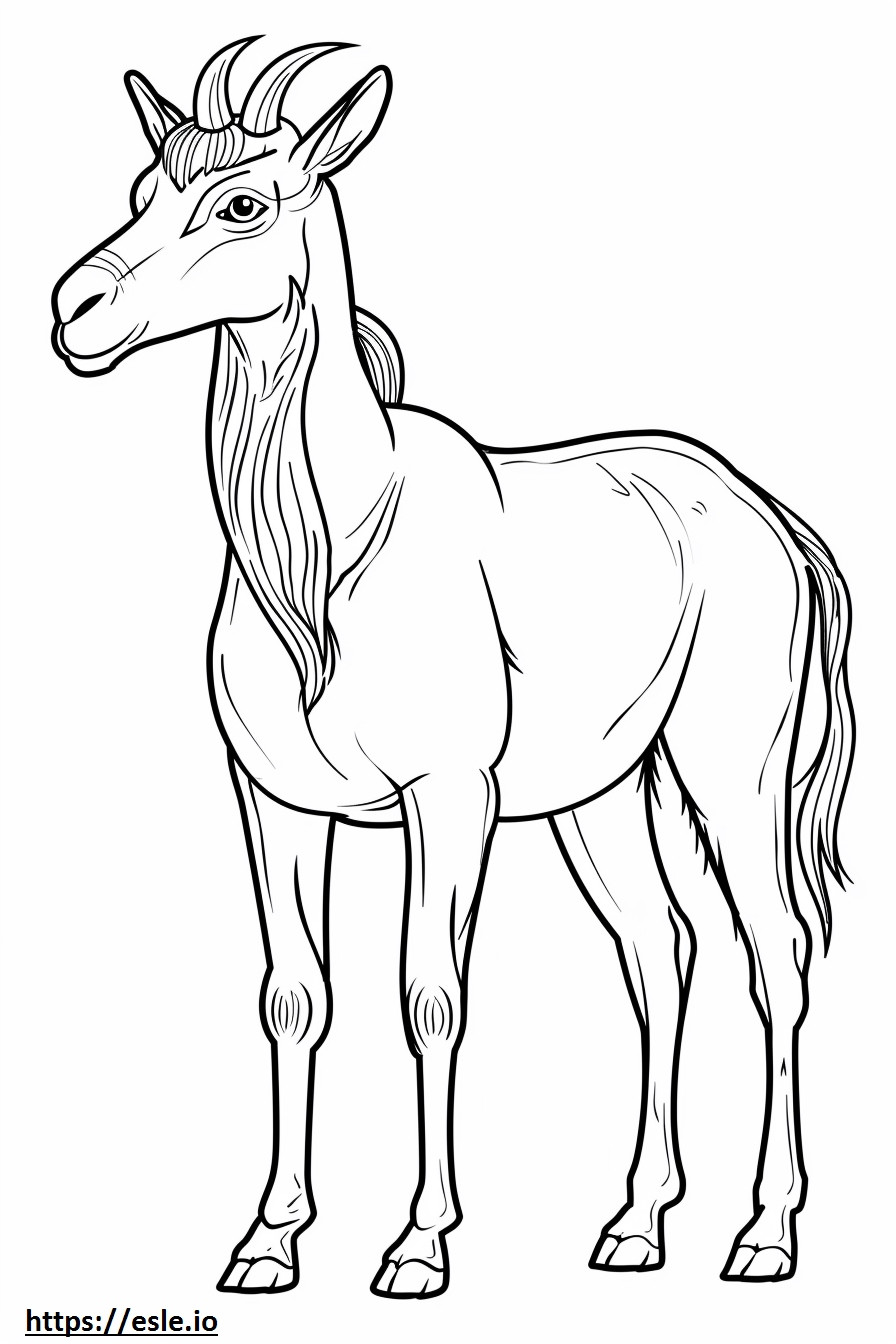 Akbash full body coloring page