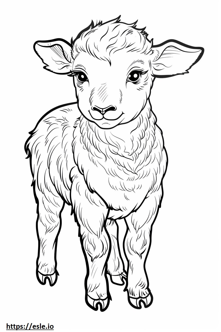 Akbash baby coloring page