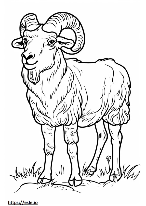 Akbash happy coloring page