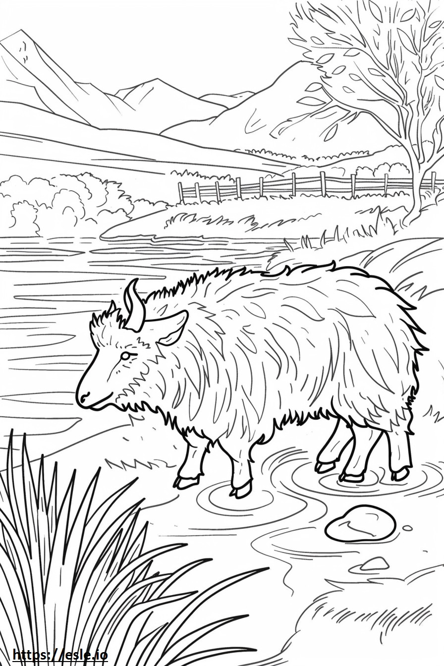 Akbash Playing coloring page