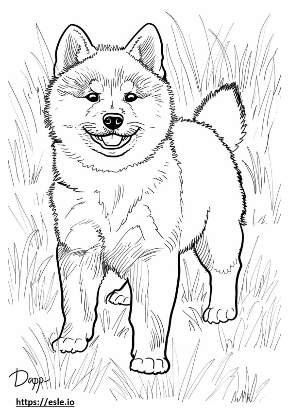 Akita happy coloring page
