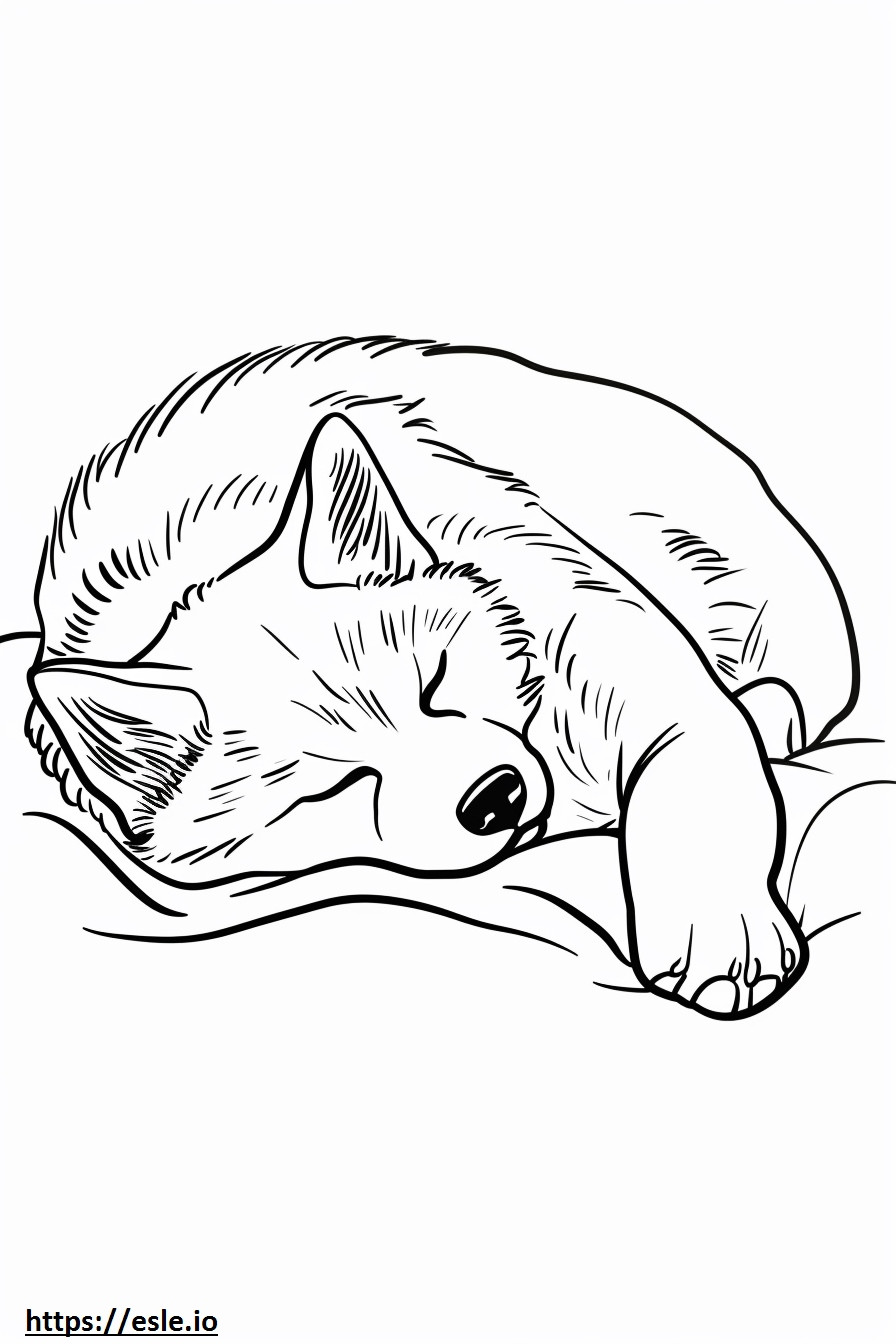 Akita slaapt kleurplaat kleurplaat