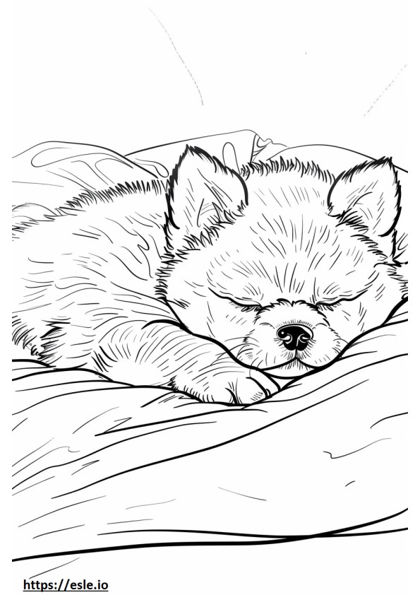 Akita dormindo para colorir