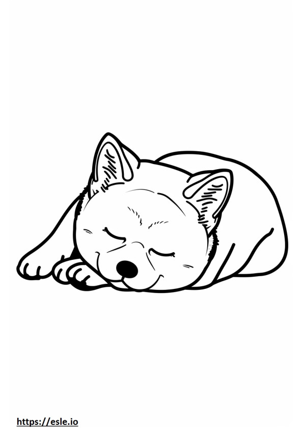 Akita durmiendo para colorear e imprimir