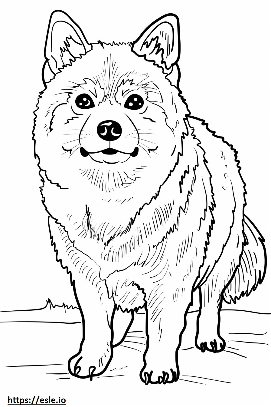 Akita Friendly coloring page