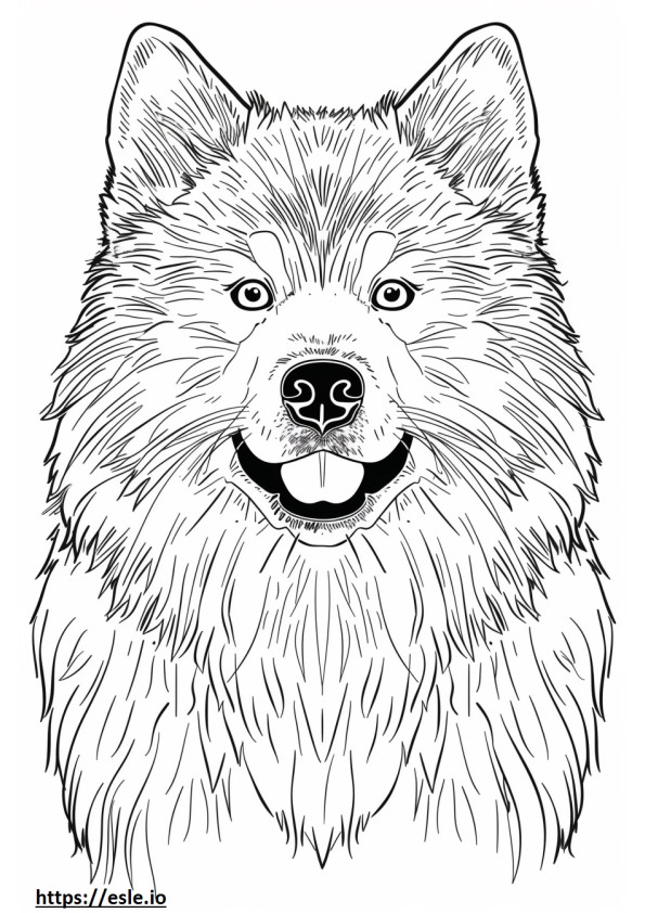 Akita Herder gezicht kleurplaat