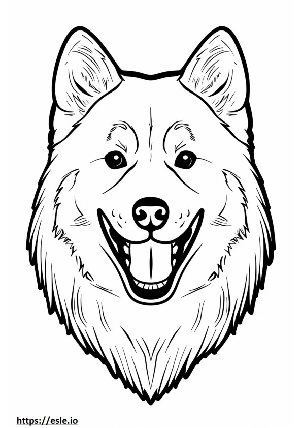 Gesicht des Akita-Schäferhundes ausmalbild