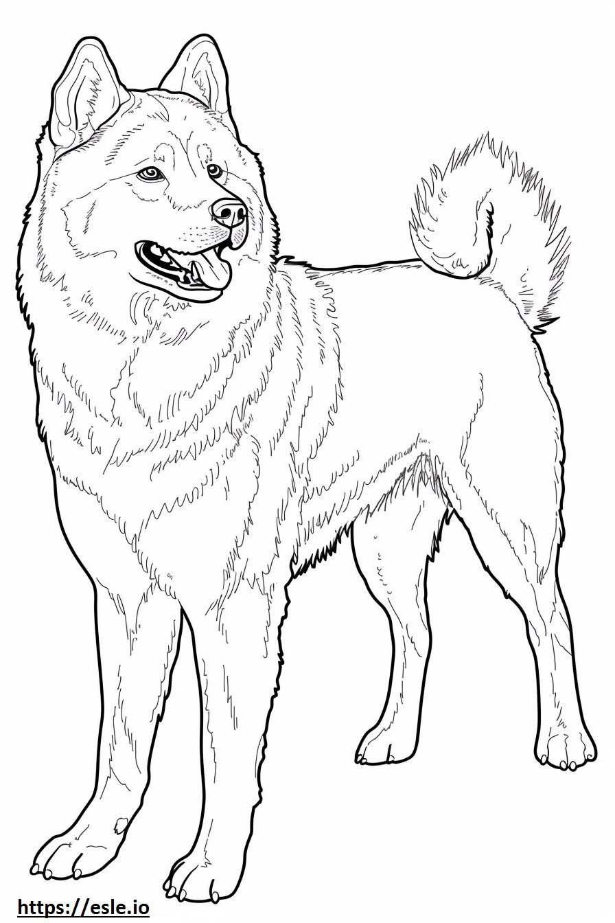 Akita-Schäferhund-Cartoon ausmalbild