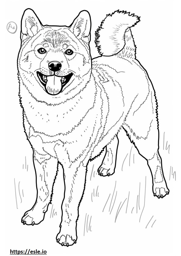 Akita-Schäferhund süß ausmalbild