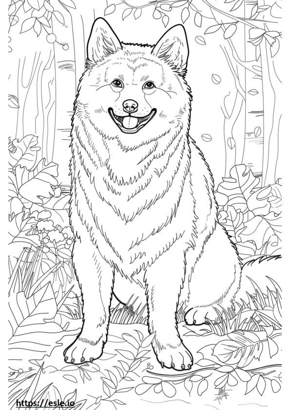 Akita Shepherd happy coloring page