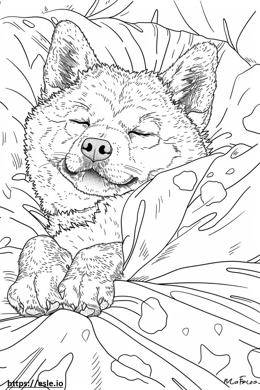 Akita-Schäferhund schläft ausmalbild