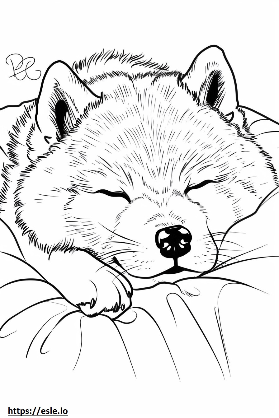 Akita-Schäferhund schläft ausmalbild