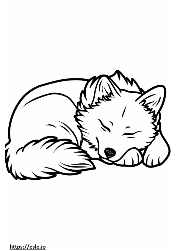 Akita juhászkutya alszik szinező
